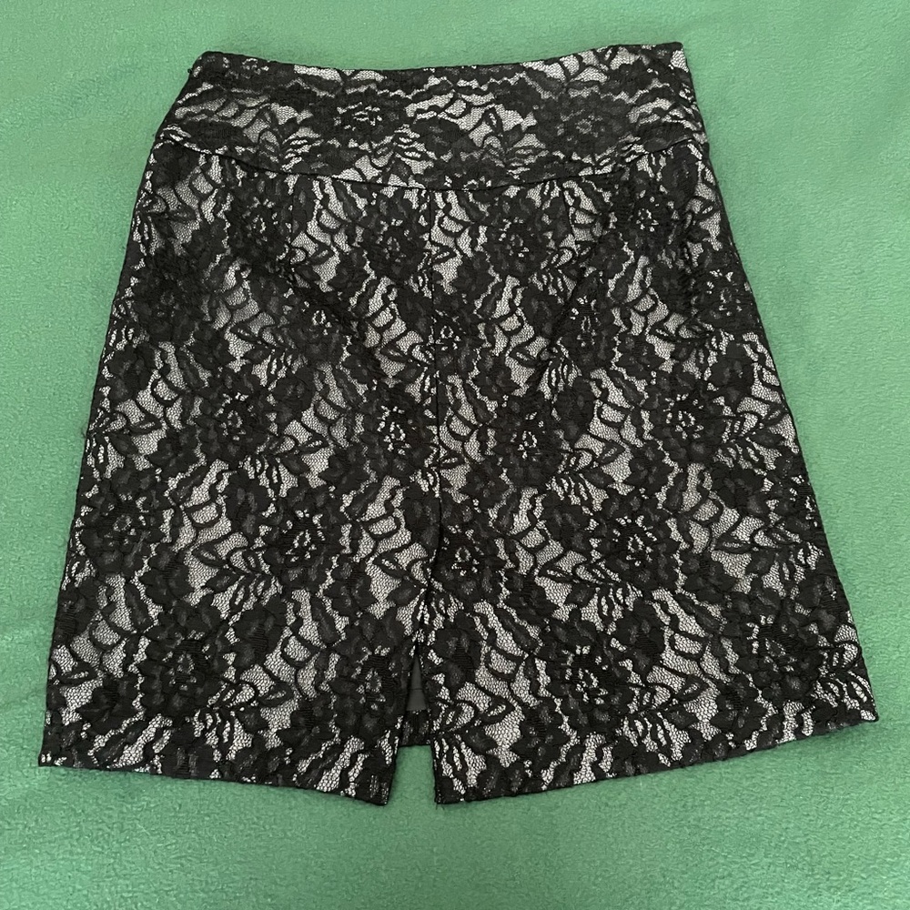 The Limited Lace Skirt - Picture 5 of 10